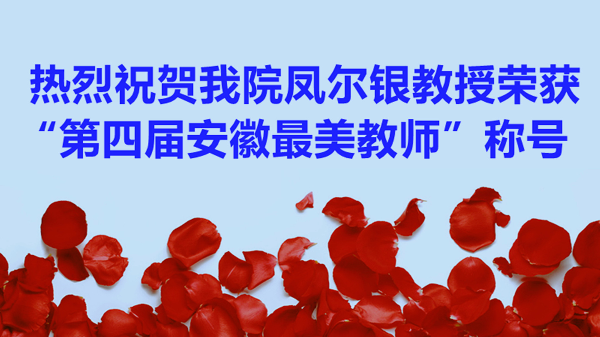 热烈祝贺浦京集团官网凤尔银教授荣获“第四届安徽最美教师”称号